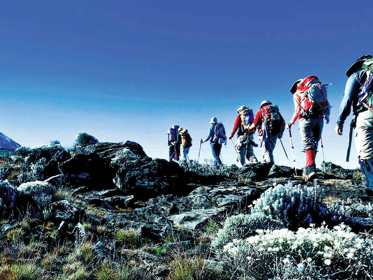 The One I'd Point Budget-Flexible Climbers Toward: Northern Circuit (9 Days)